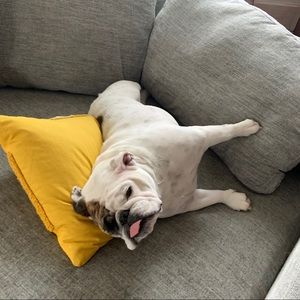 Meet your Posher, Mike